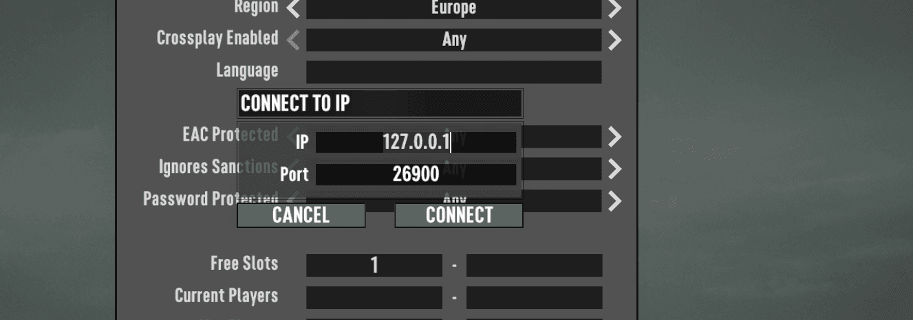 Direct IP connection dialog