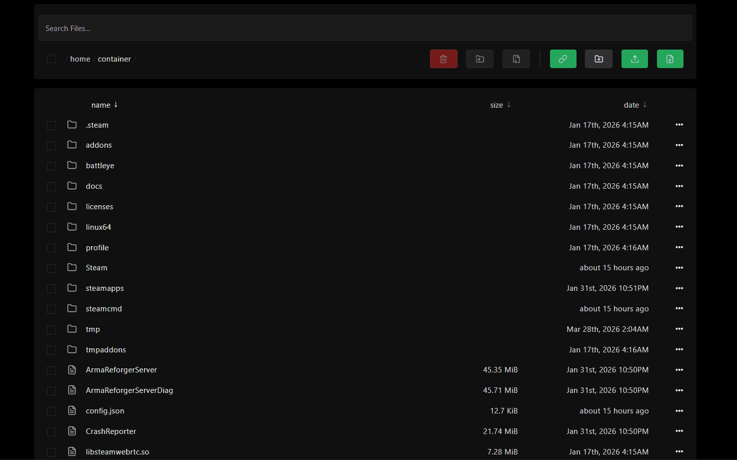 File Manager showing config.json