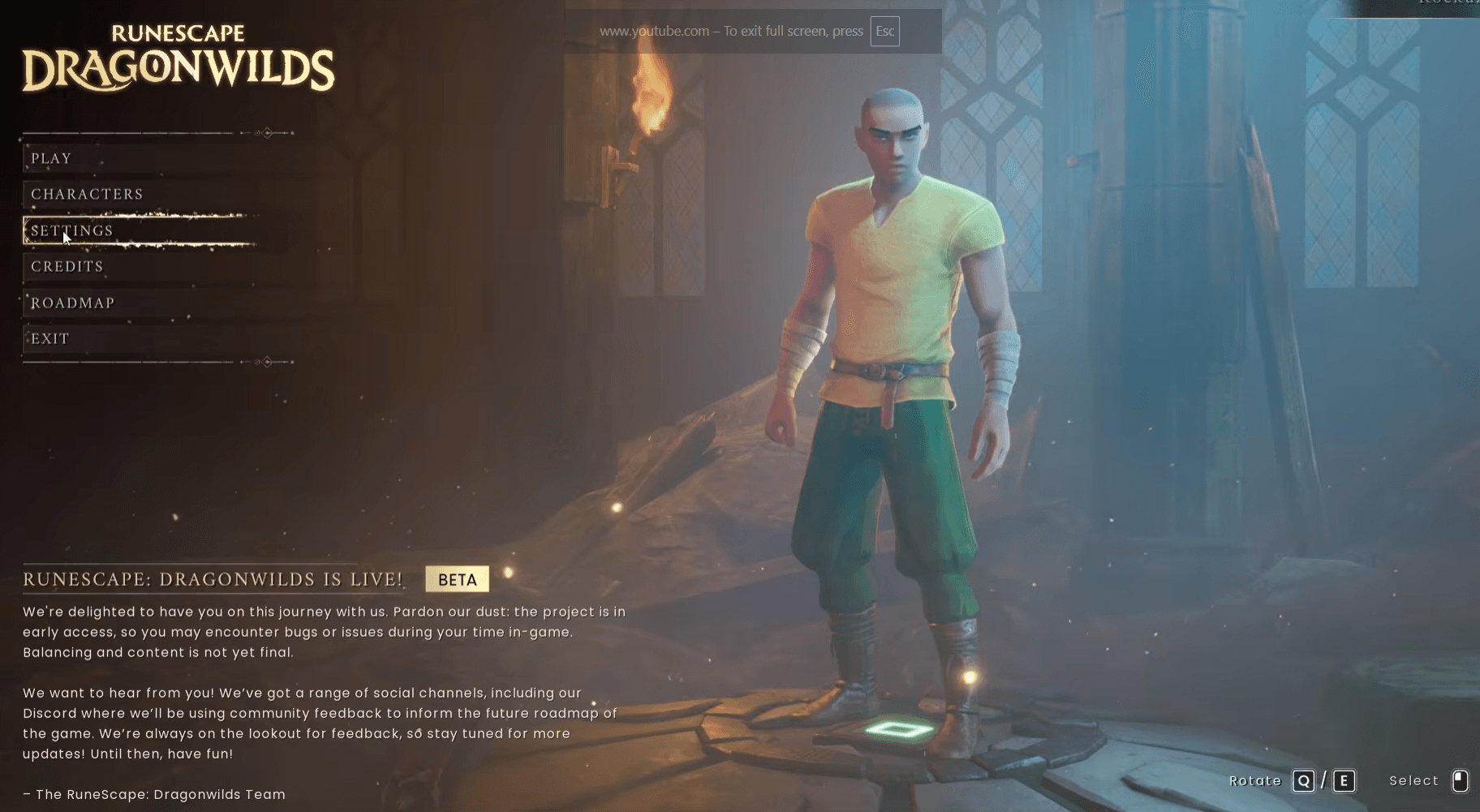 How to find your Player ID