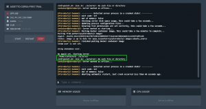 asseto-corsa-server-instial-fail