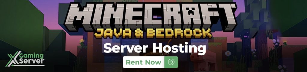 Minecraft server hosting