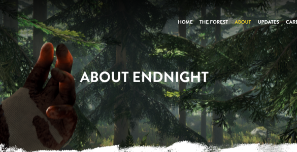The Developers of Sons of the Forest: Endnight Games Studio Profile