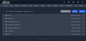 the front game saves