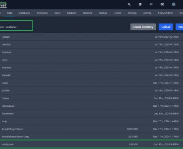 arma reforger server config