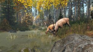 DayZ Disease & Sickness Guide: Cholera, Infection and Cures