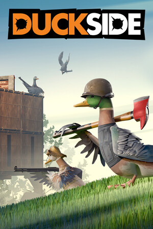 Duckside Server Hosting