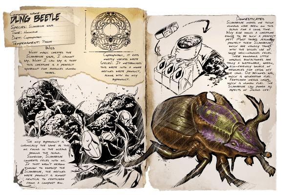 Dung Beetle