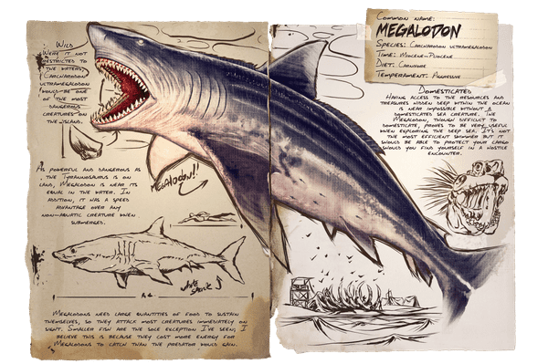 Megalodon