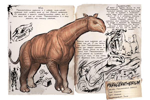 Paraceratherium